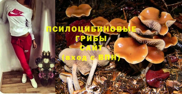 МДПВ Алзамай