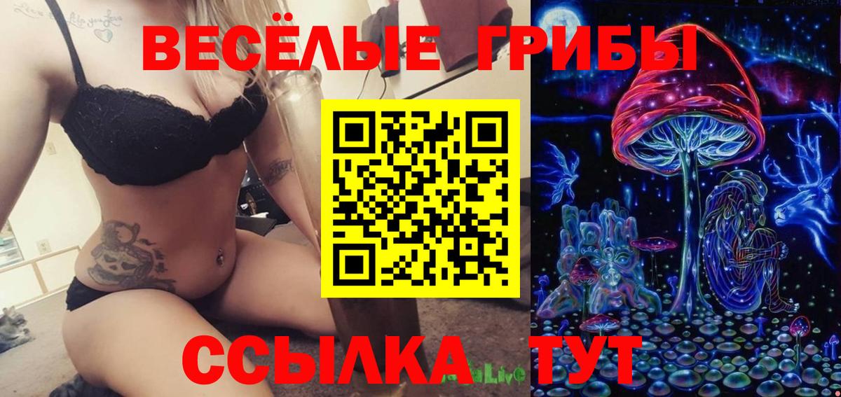 Псилоцибиновые грибы ЛСД Мичуринск